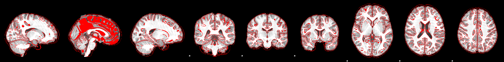 Example image in the original 1x9 format
